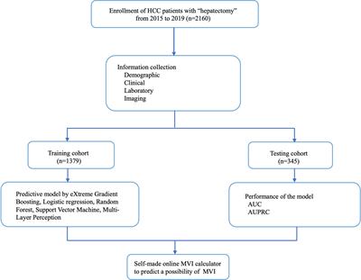 A Promising Preoperative Prediction Model for Microvascular Invasion in Hepatocellular Carcinoma Based on an Extreme Gradient Boosting Algorithm